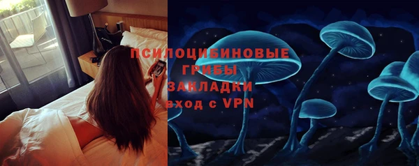 трава Армянск