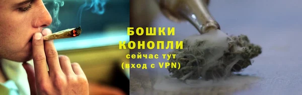 трава Армянск
