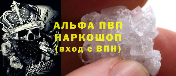 spice Арсеньев