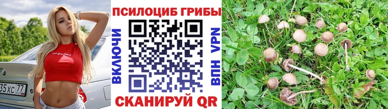 Галлюциногенные грибы GOLDEN TEACHER  Ступино 